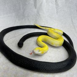 Silicone Snakes Toys Moves Around Feel And Look Real