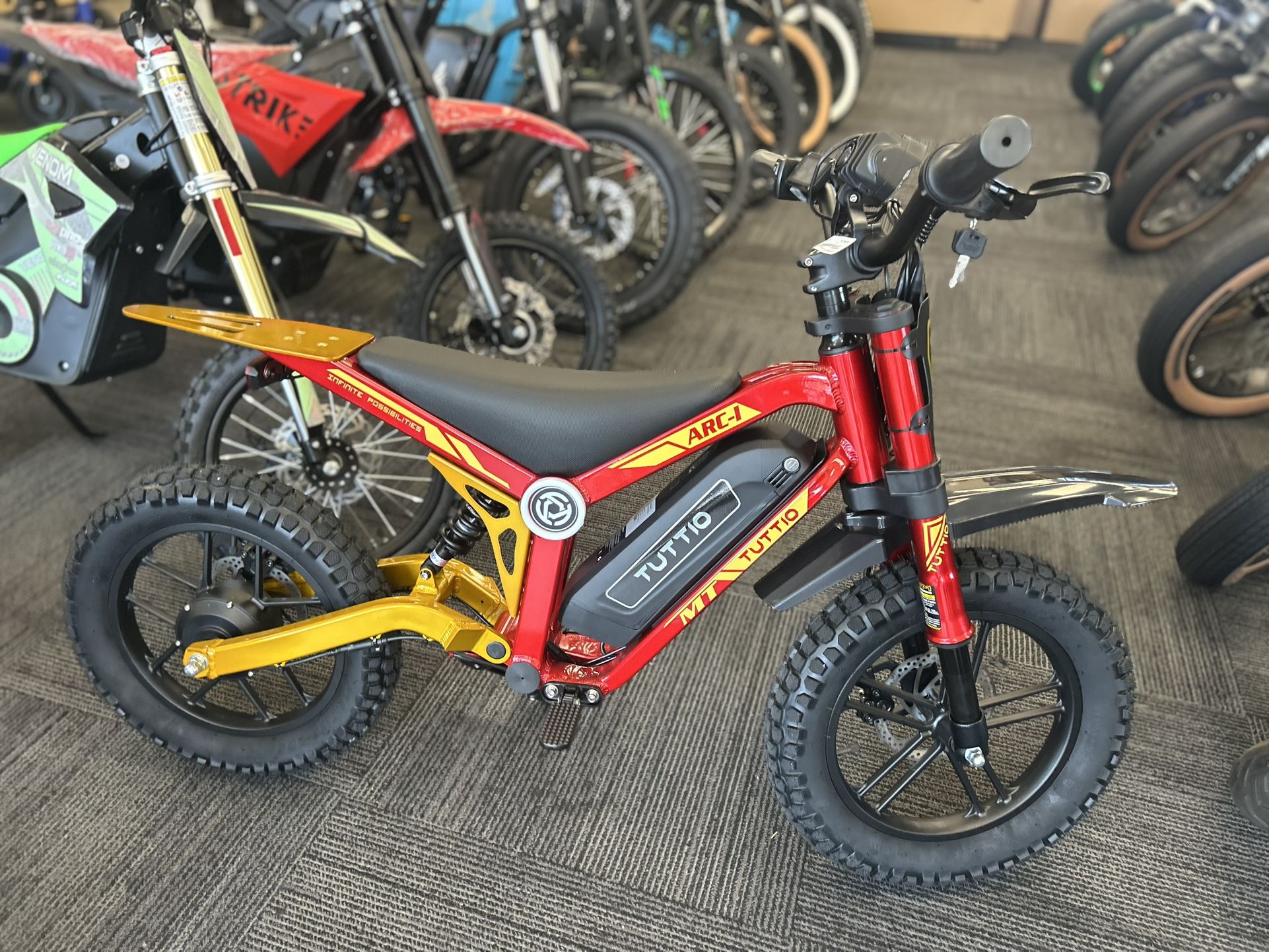 Tuttio ARC-L Kids Electric Bike 750W/36V