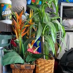 Two Artificial plants