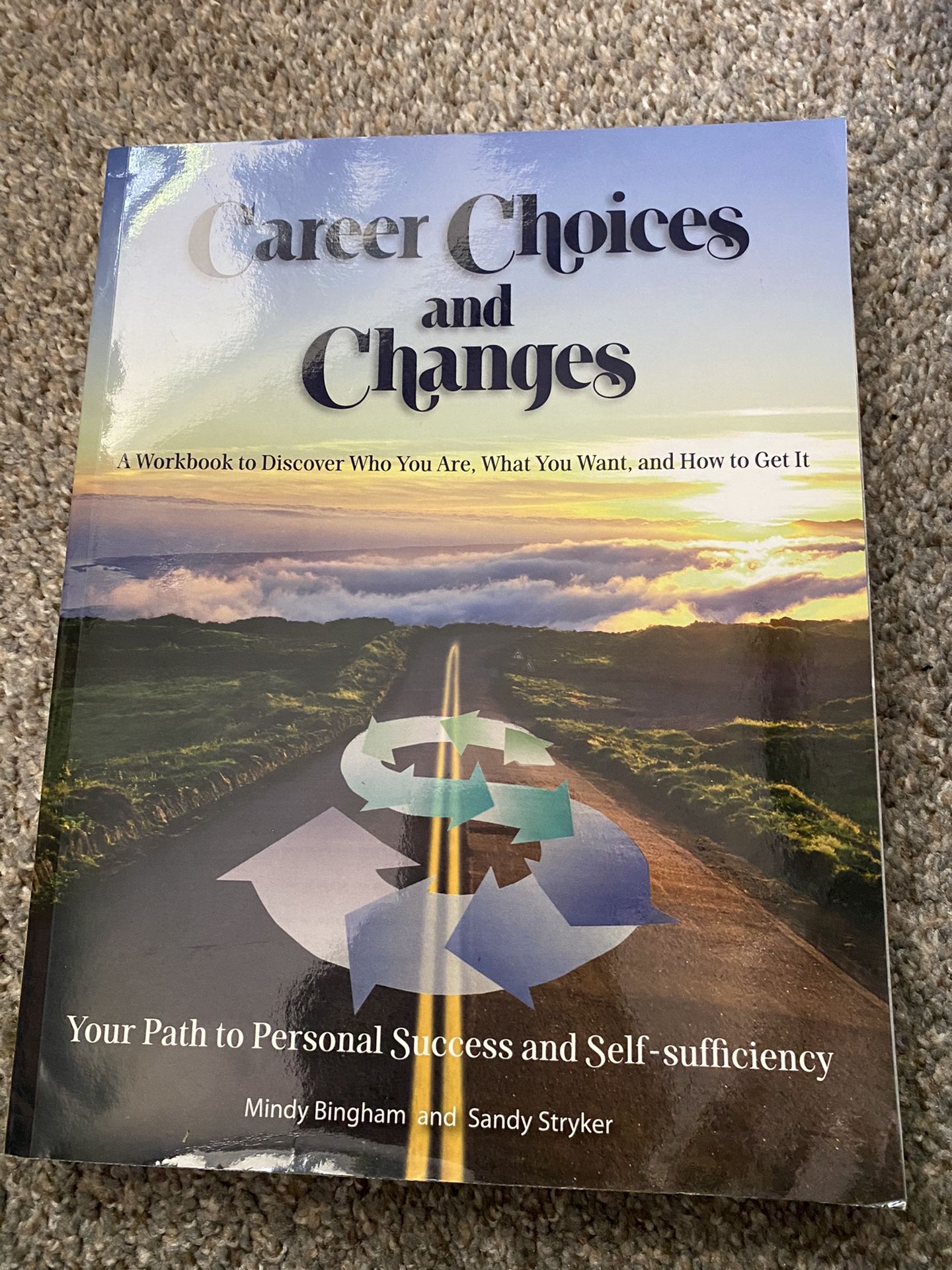 Career Choices And Changes Textbook By Mindy Bingham And Sandy Stryker