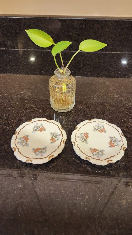 Beautiful Porcelain Coasters- Set Of Two