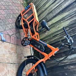 Ebike Wagon Radpower 