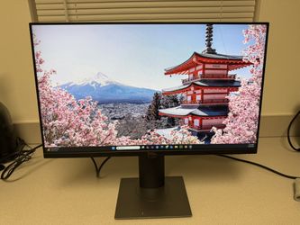 Dell 24” Monitor P2419H