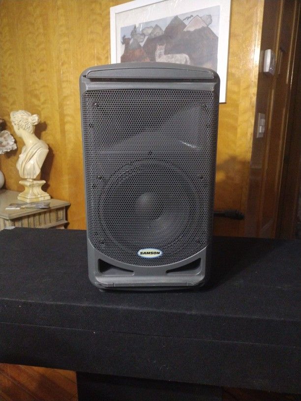 Samsun 10 inch 200 w speaker