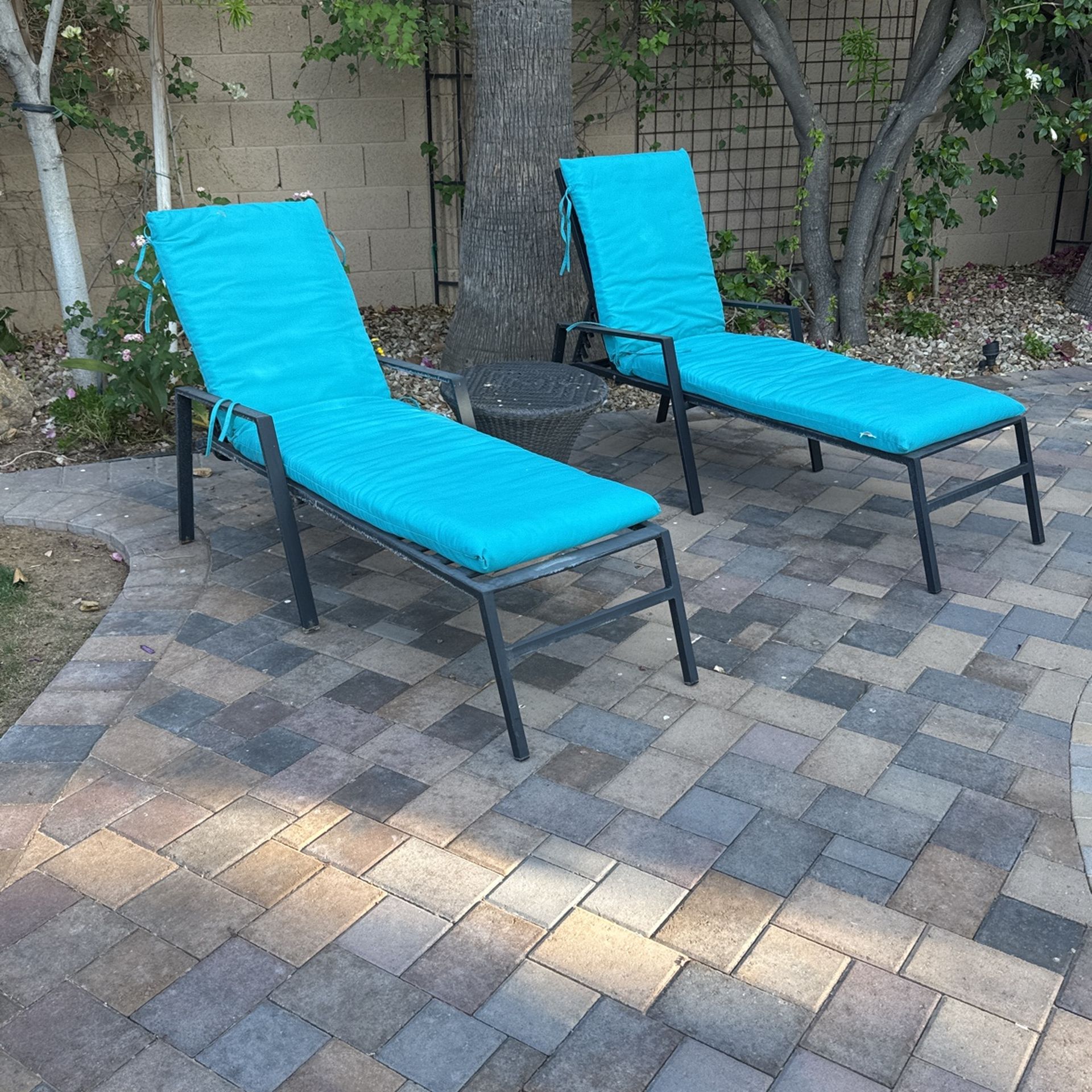 (2) Outdoor Chaise Lounge