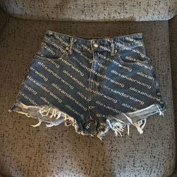 Alexzander Wang Shorts 