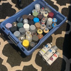 Various Spray Paints, Primers, And Sealers