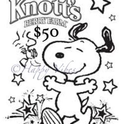 Knotts Berry Farm 🎟️