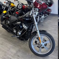 2024 Softail Standard