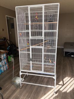 Large White Bird Cage