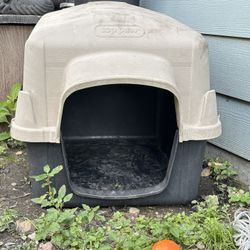 Dog Stuff 