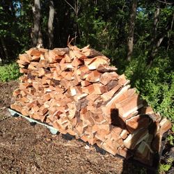 Firewood