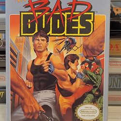 NES NINTENDO BAD DUDES CIB