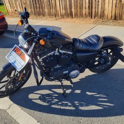 2019 Harley Davidson Sportster 883