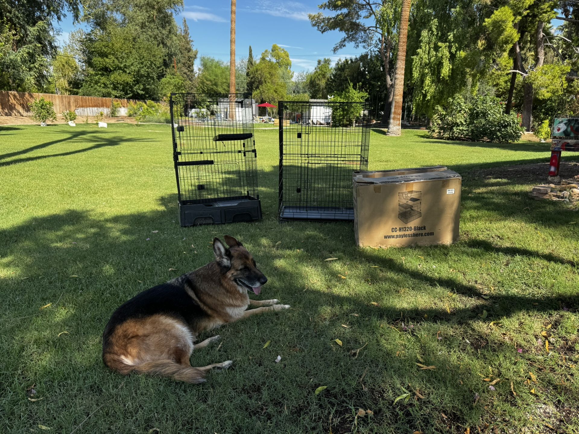 Cat Cages/ One Fast Cat Wheel 