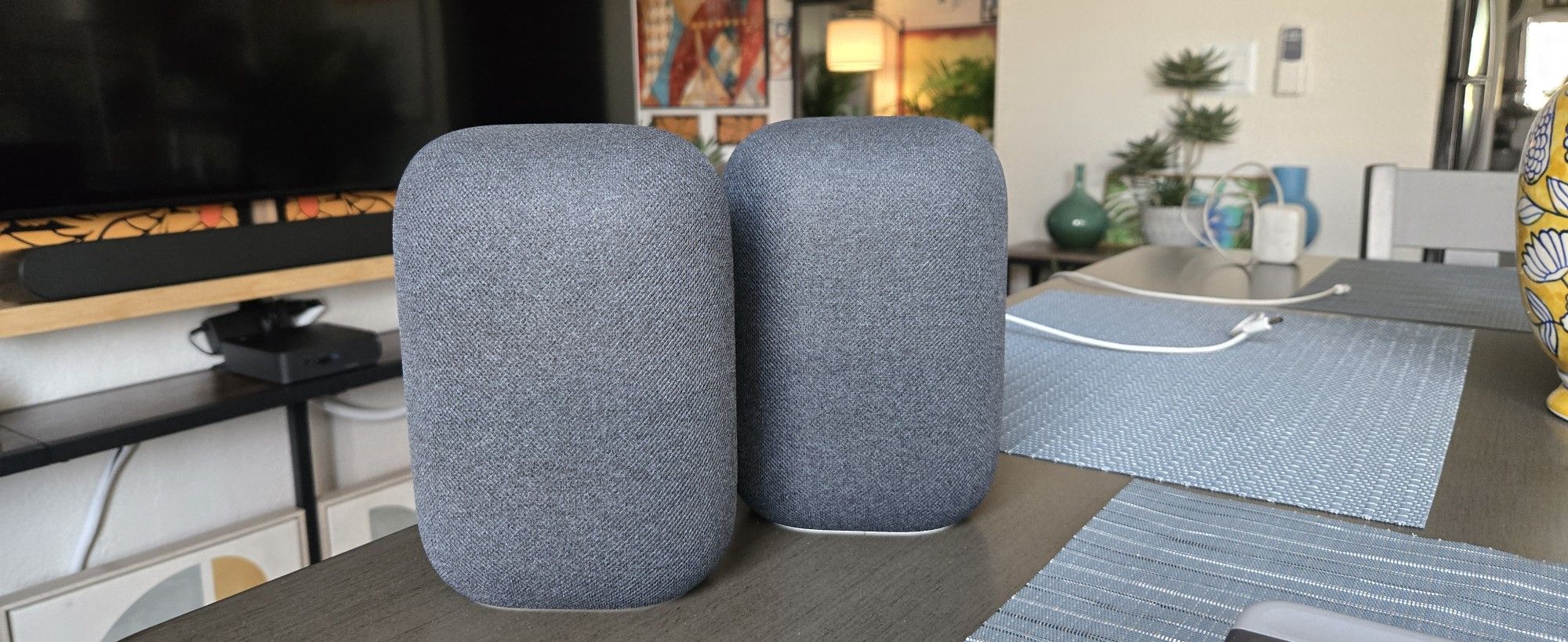 GOOGLE NEST SPEAKERS