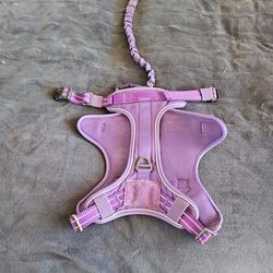Dog harness w leash