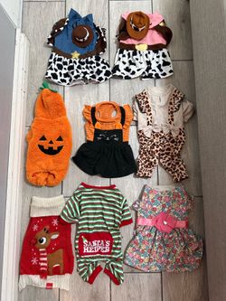 Dog Clothes