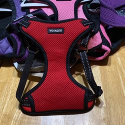 Dog Harness Size Small 