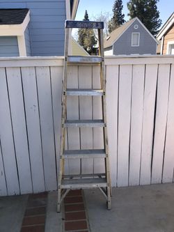 6ft Davidson Ladder