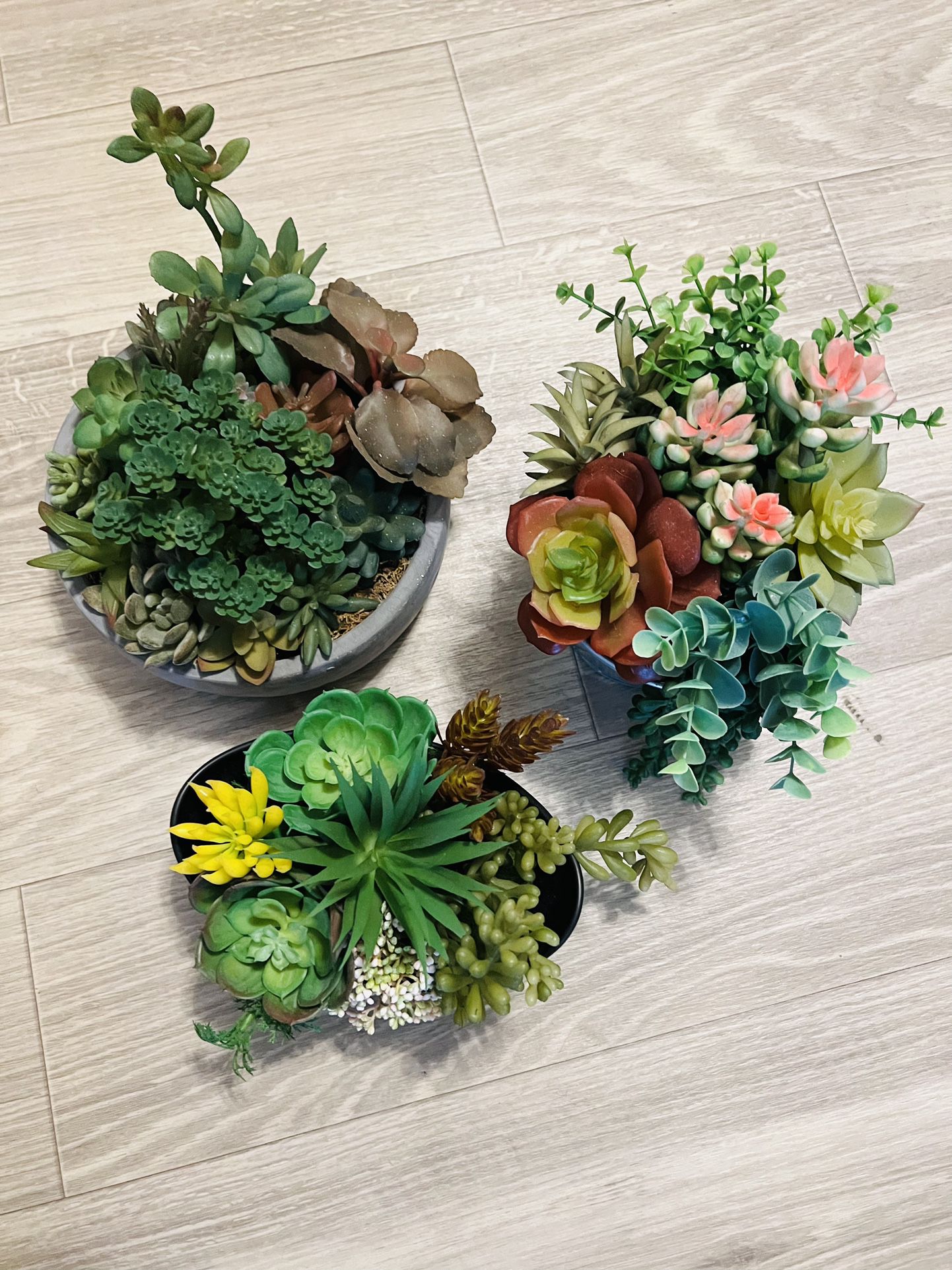 Set Of 3 Artificial Succulents Plants 