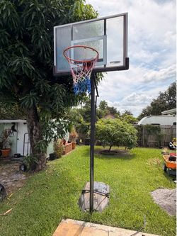 Free Basketball Hoop