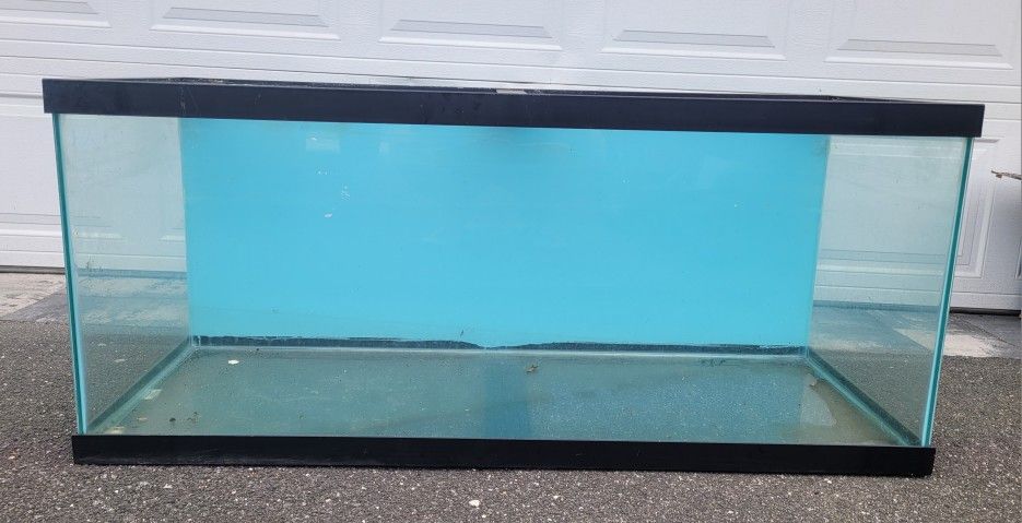75 Gallon Fish/Reptile Tank