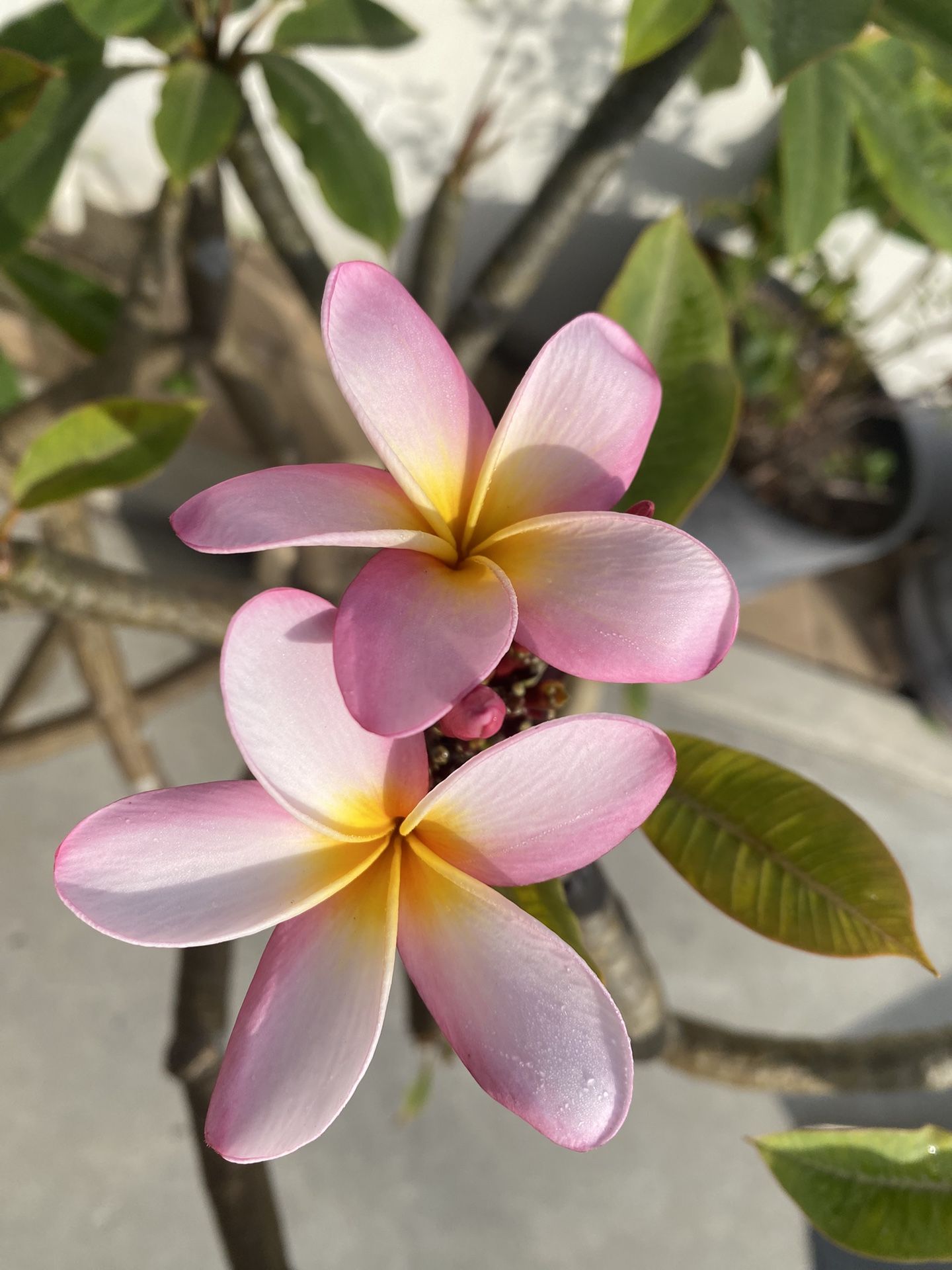 cb4ba4a928044884b5ea800eaf1348