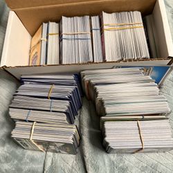 Pokemon Common Card Lot 