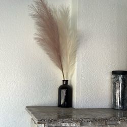Amber Jars And Pampas Set