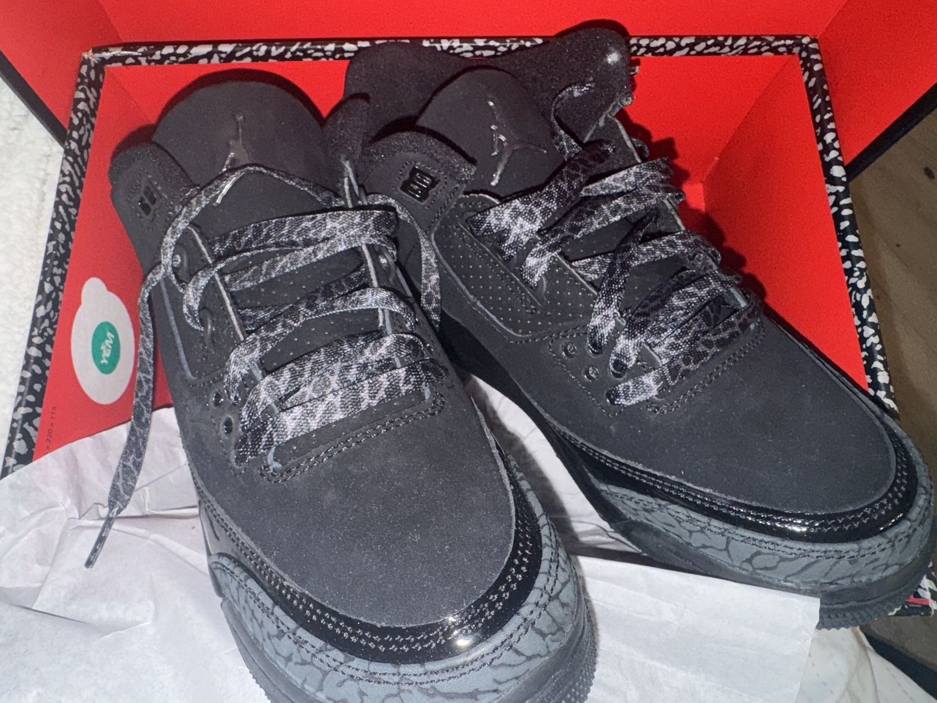 Jordan 3s Black Cats 2025