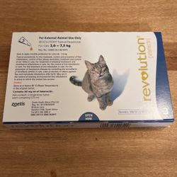 Flea and Tick Meds For Cats