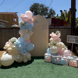 Gender Reveal Backdrop