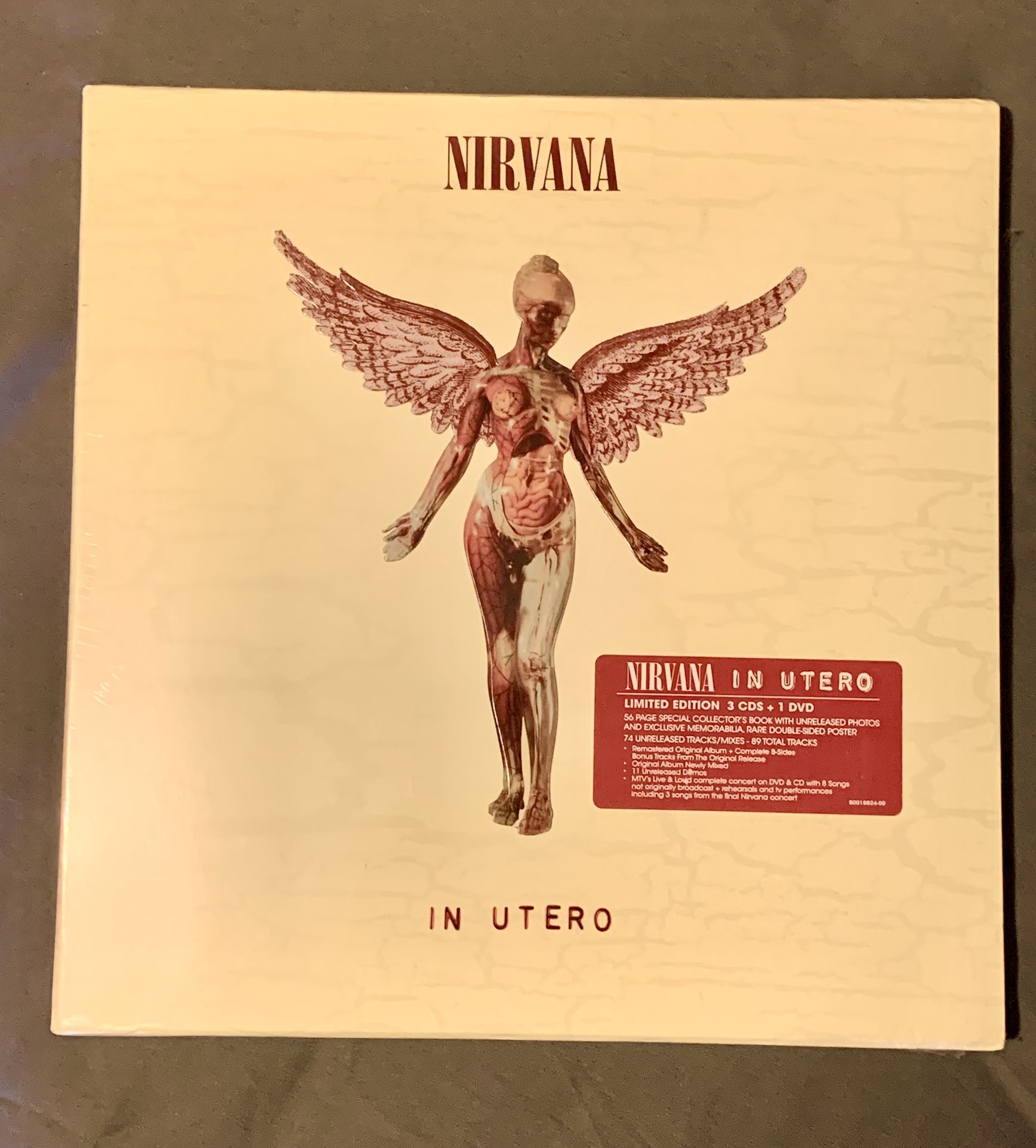 Nirvana “IN UTERO” 20th Anniversary (Unopened)