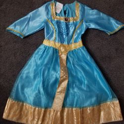 Disney's Merida (Brave) Costume