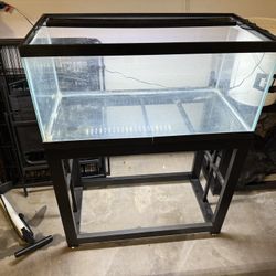 fish tank