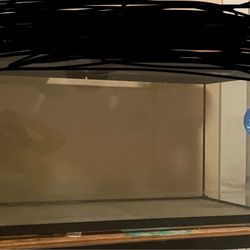 50 Gallon Turtle Tank (Need Gone Asap) 