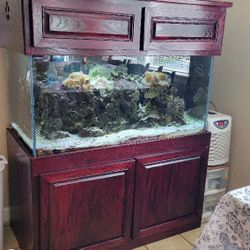 150g Salt Water Fish Tank