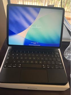 11 inch IPad Pro with cellular 256 gb
