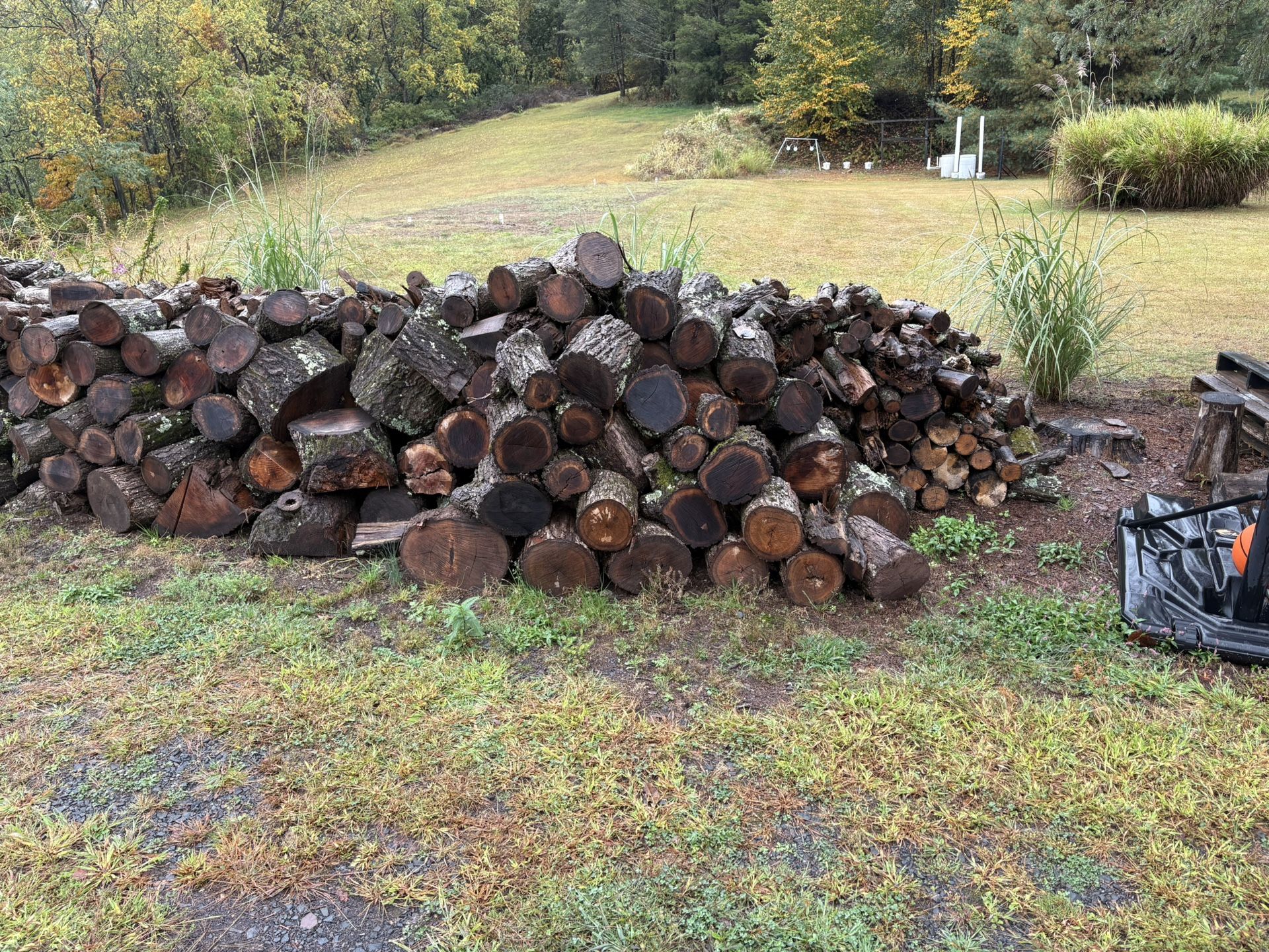 Fire Wood