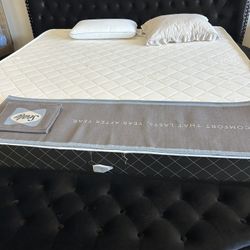Brand New Tufted Bed Frame With Storage, Same Day Delivery 