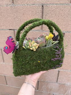 Mothers Day Gift Succulent Bag