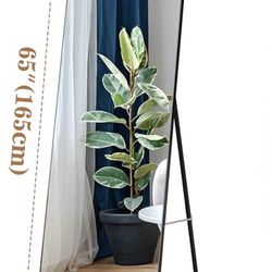 Moving Out Sale Now: Full Length Mirror-Almost New
