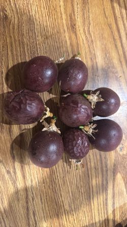 passion fruit plant