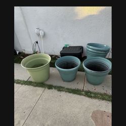 Planters 