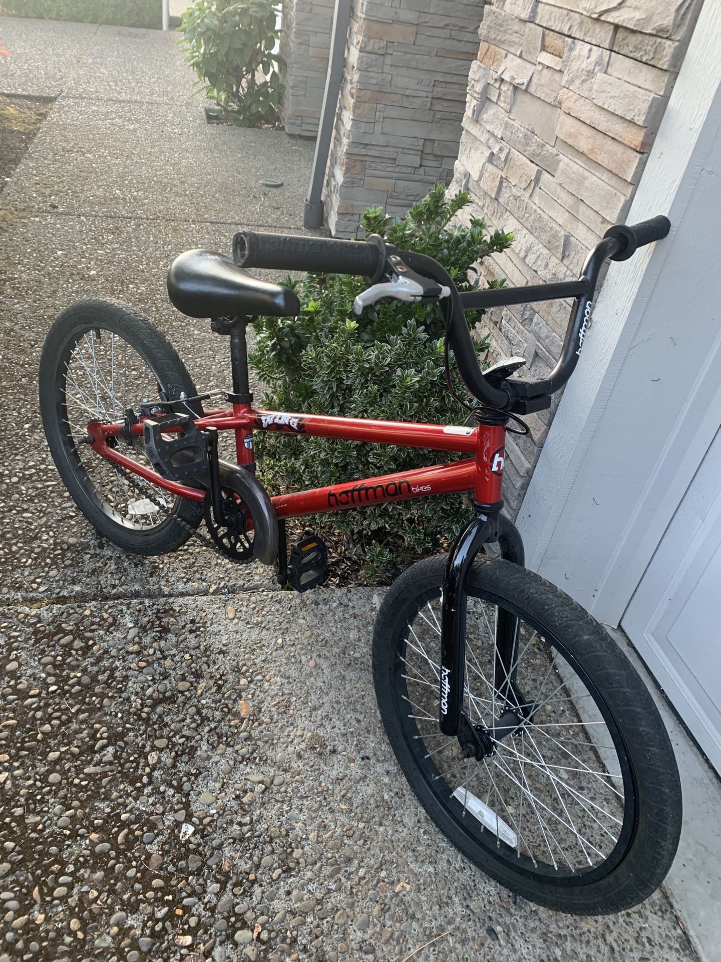 20” Youth Freestyle Hoffman BMX
