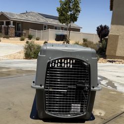 Dog Kennel 