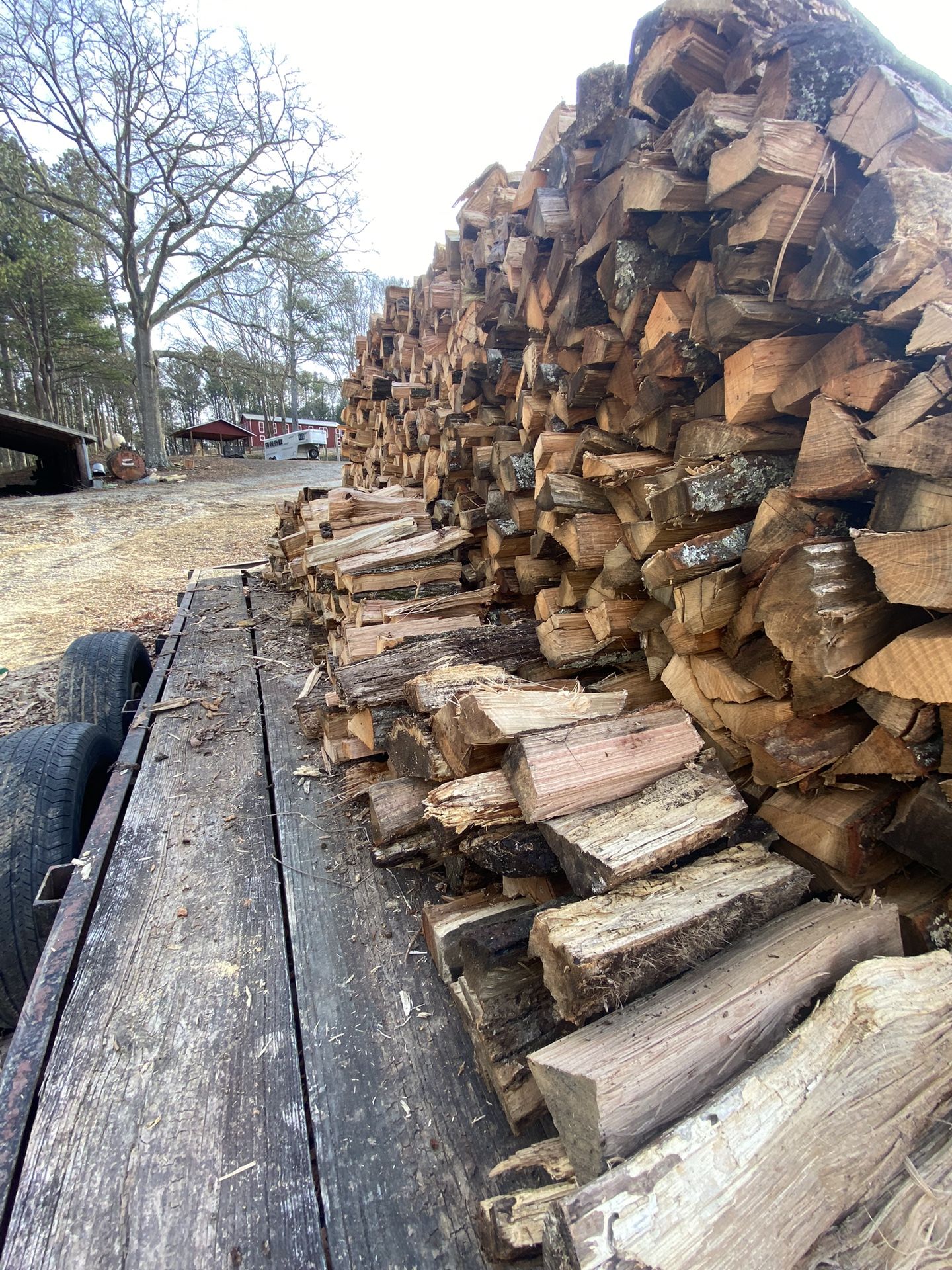 Firewood 