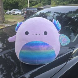 Squishmallows 