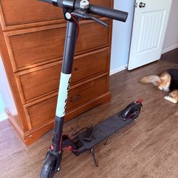 Electric Scooter (GoTrax)